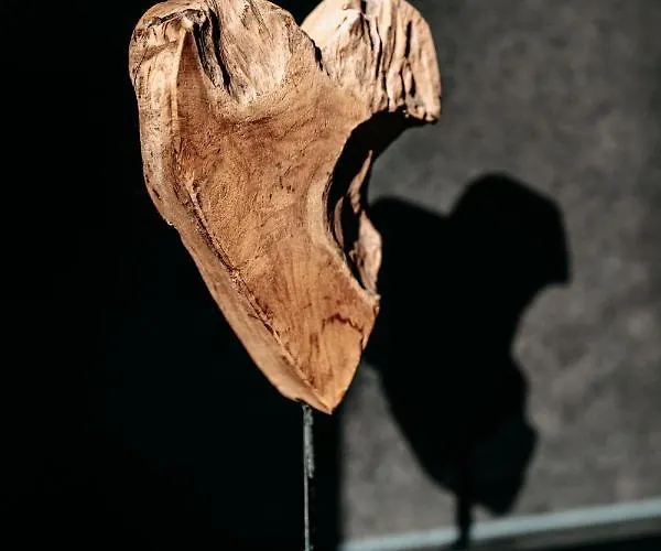 Tanners * التنماركت ام بوناغ